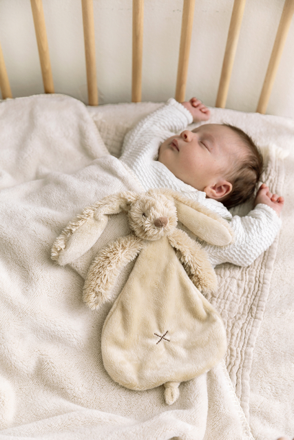 Kaninchen Richie Tuttle verschiedene Farben