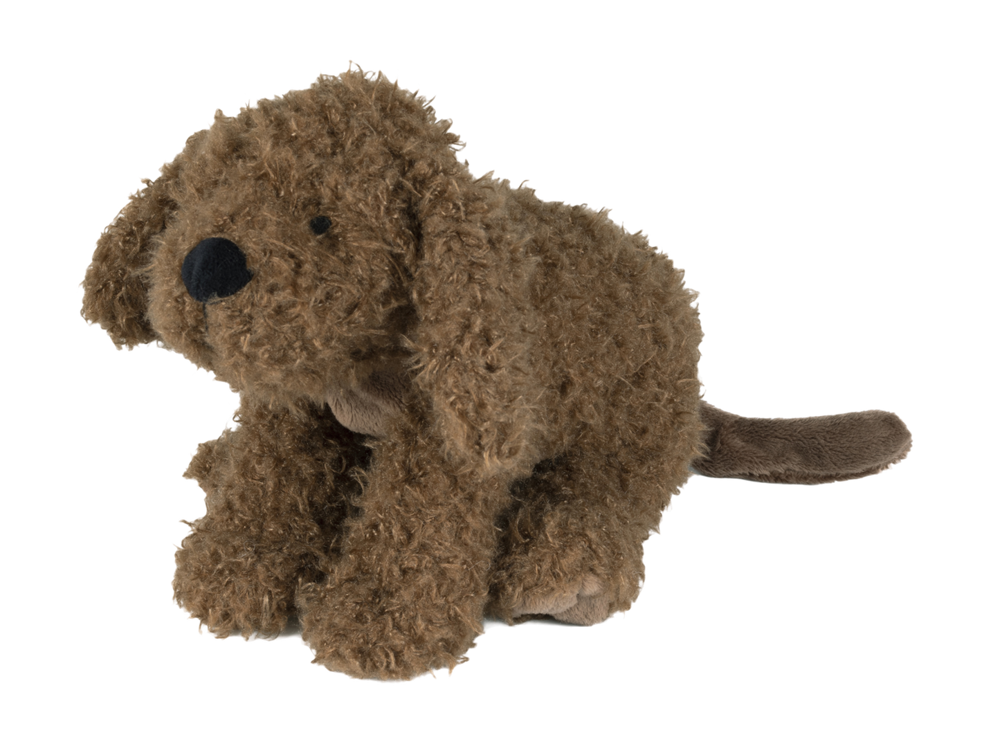Labradoodle Larry no.1