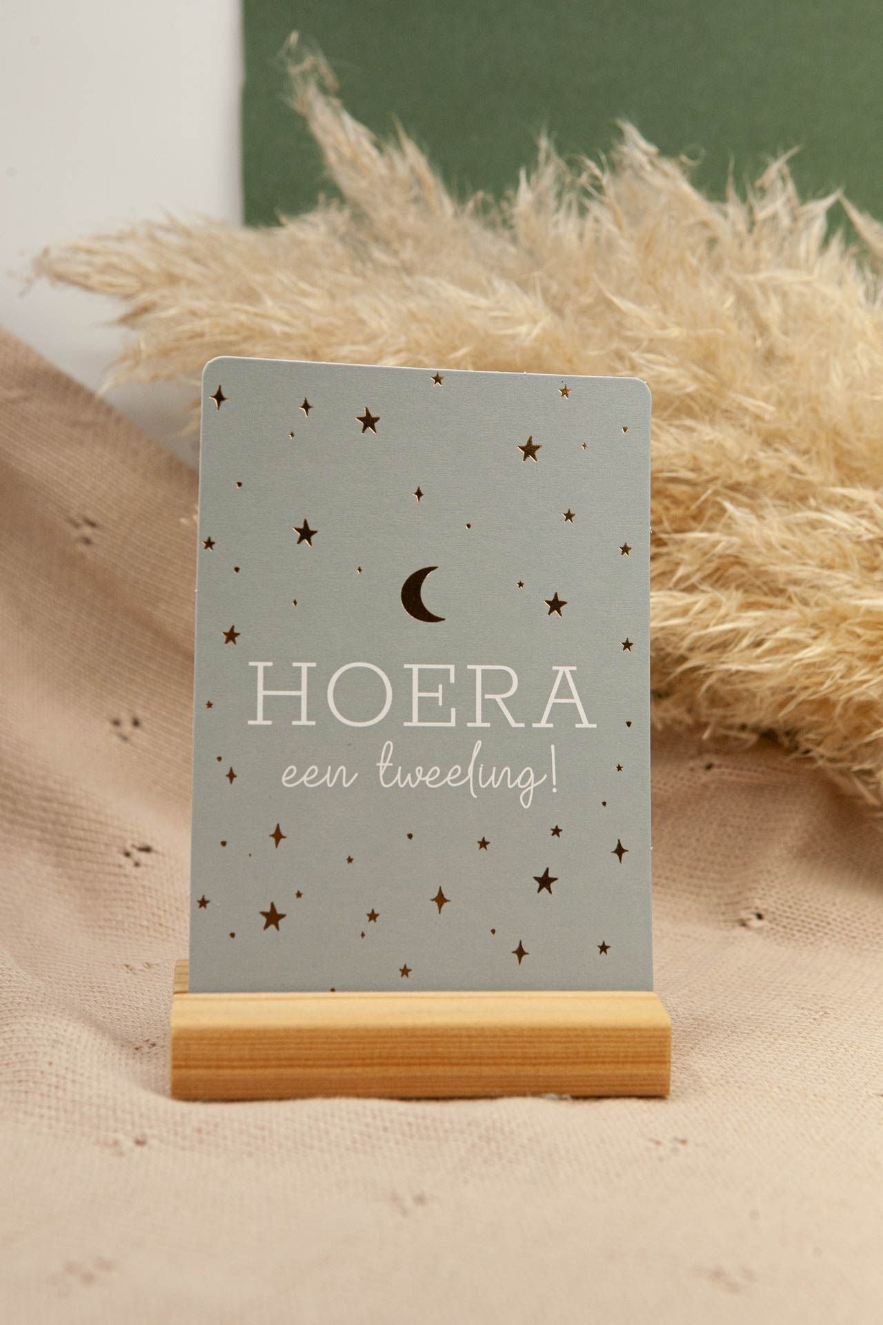 Karte: Hurra, Zwillinge!