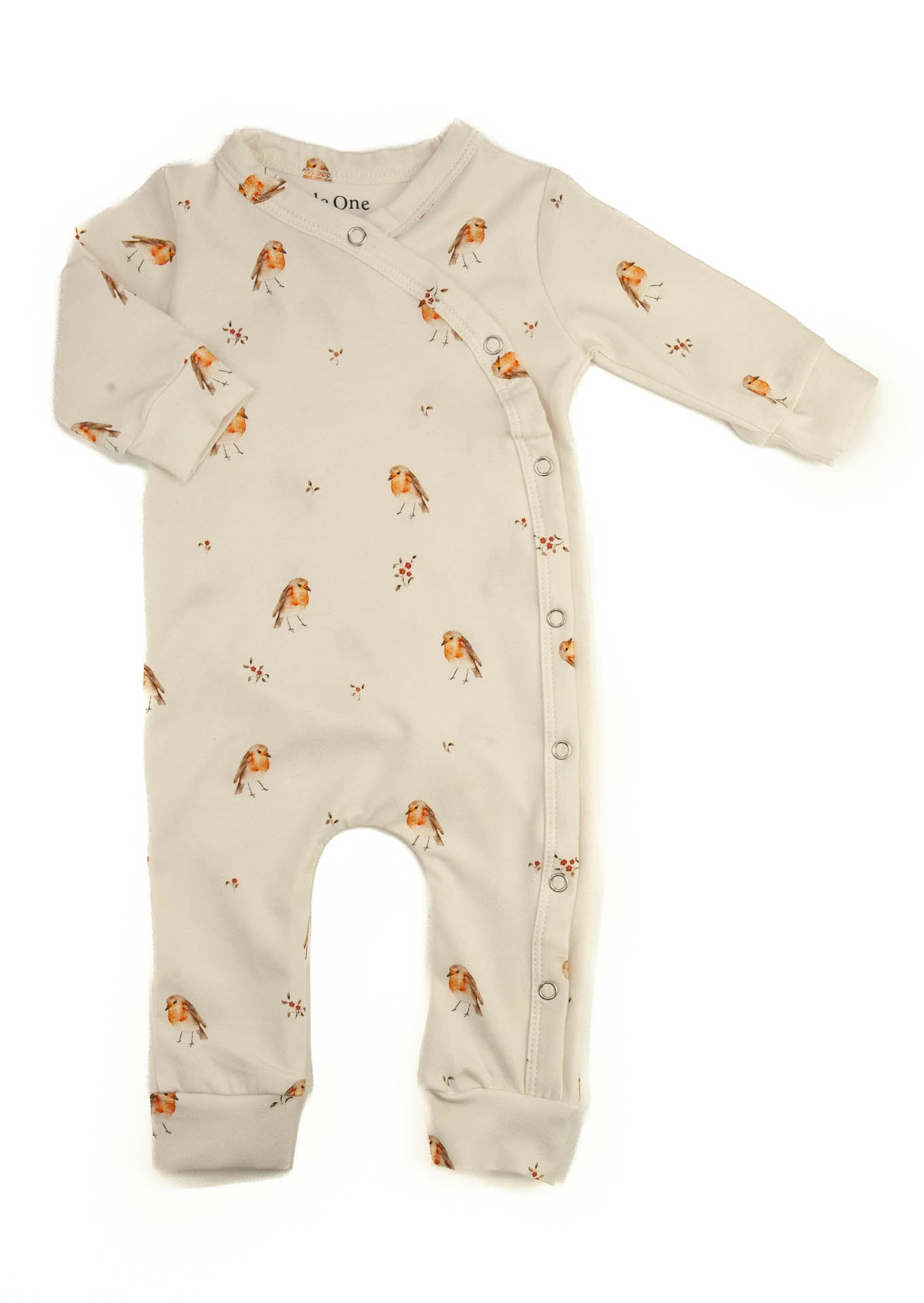 Boxpakje little one roodborstjes