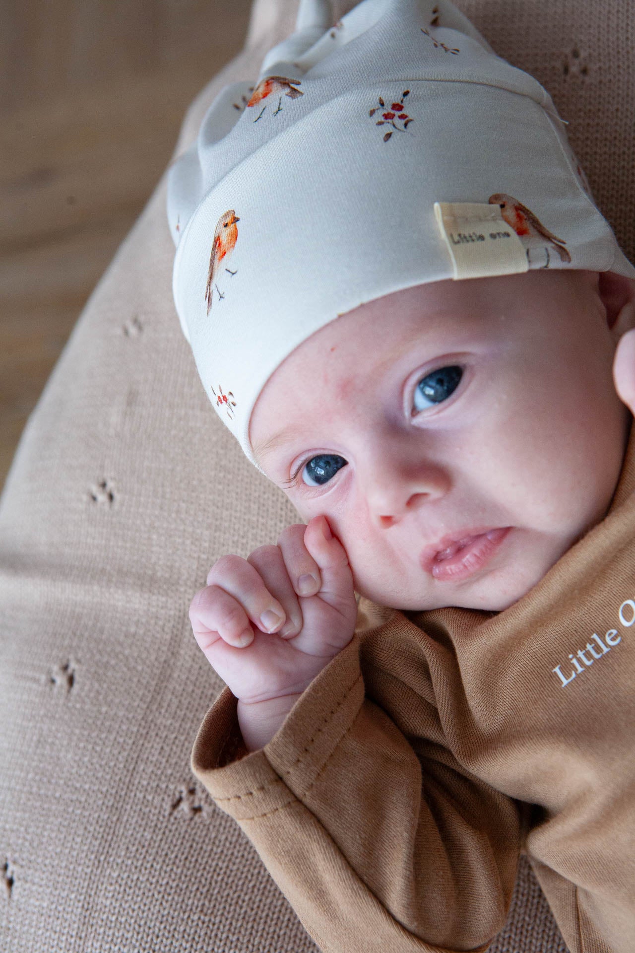 Angebot Hasenset 🐰