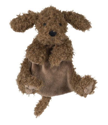 Labradoodle Larry Tuttle