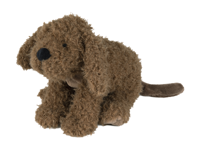 Labradoodle Larry no.1