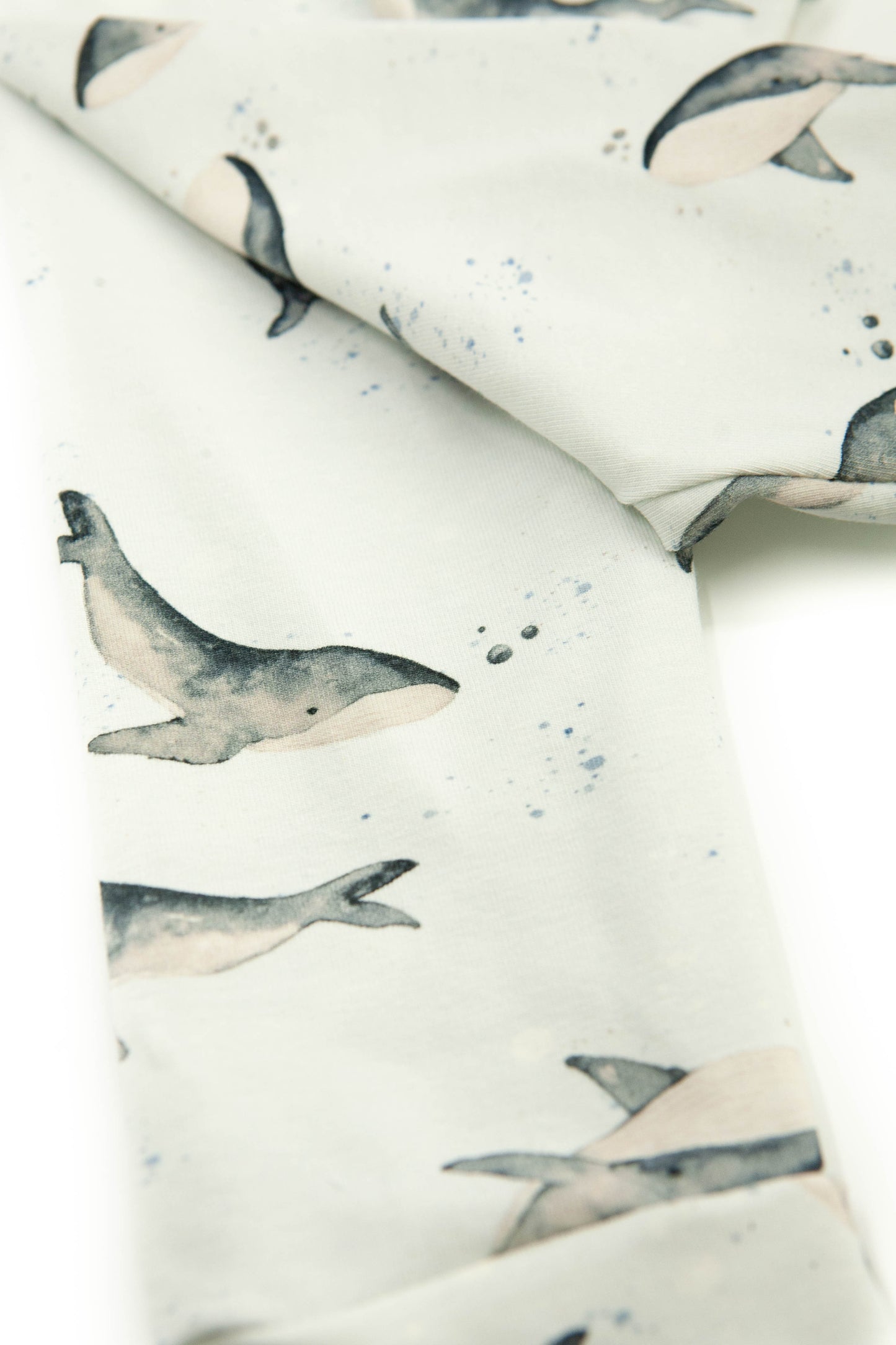 Broekje Whales