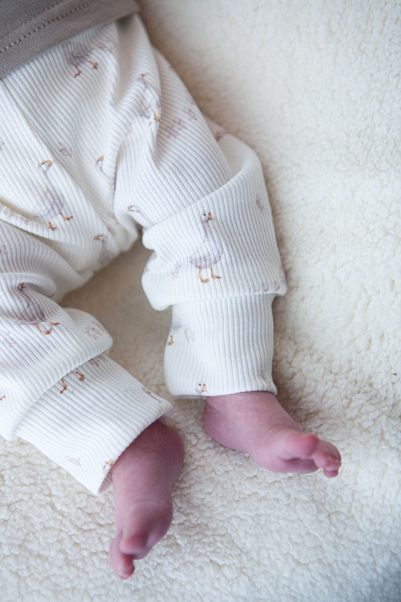 Baby pants ribbed geese